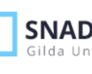 Logo Snadir